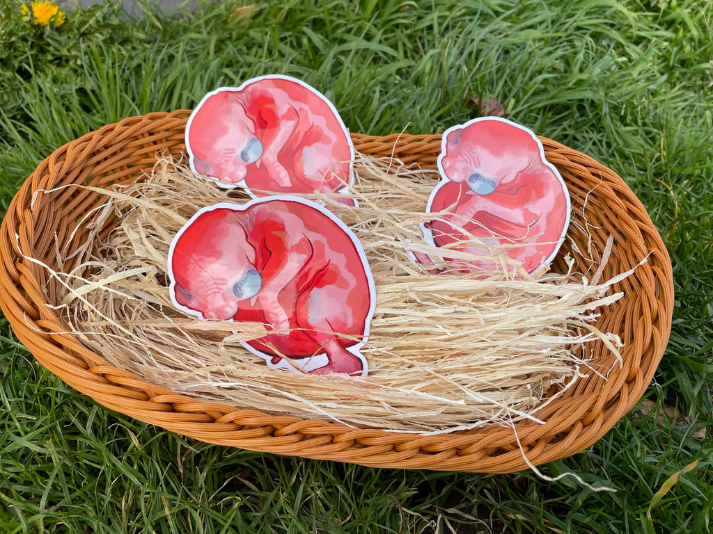 Baby Bird Sticker