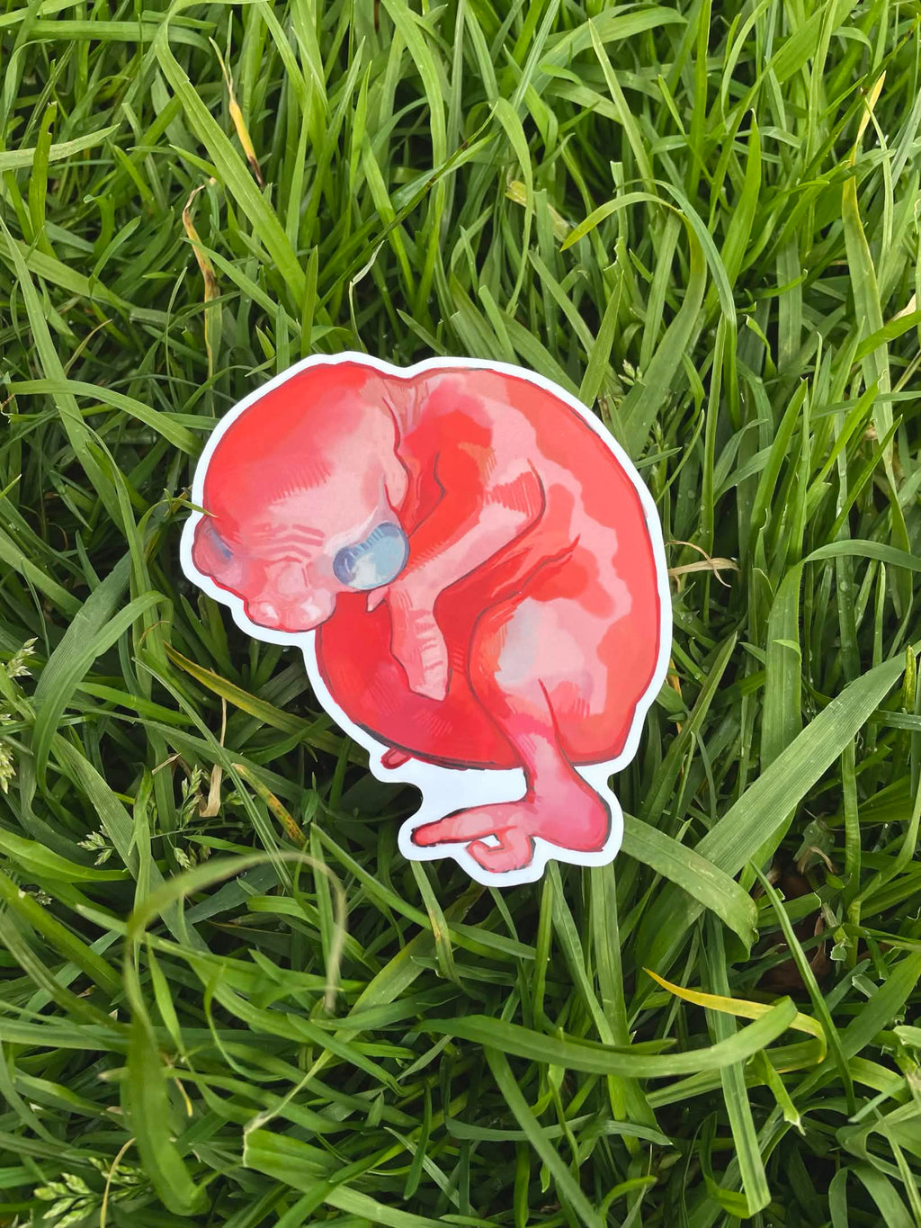 Baby Bird Sticker