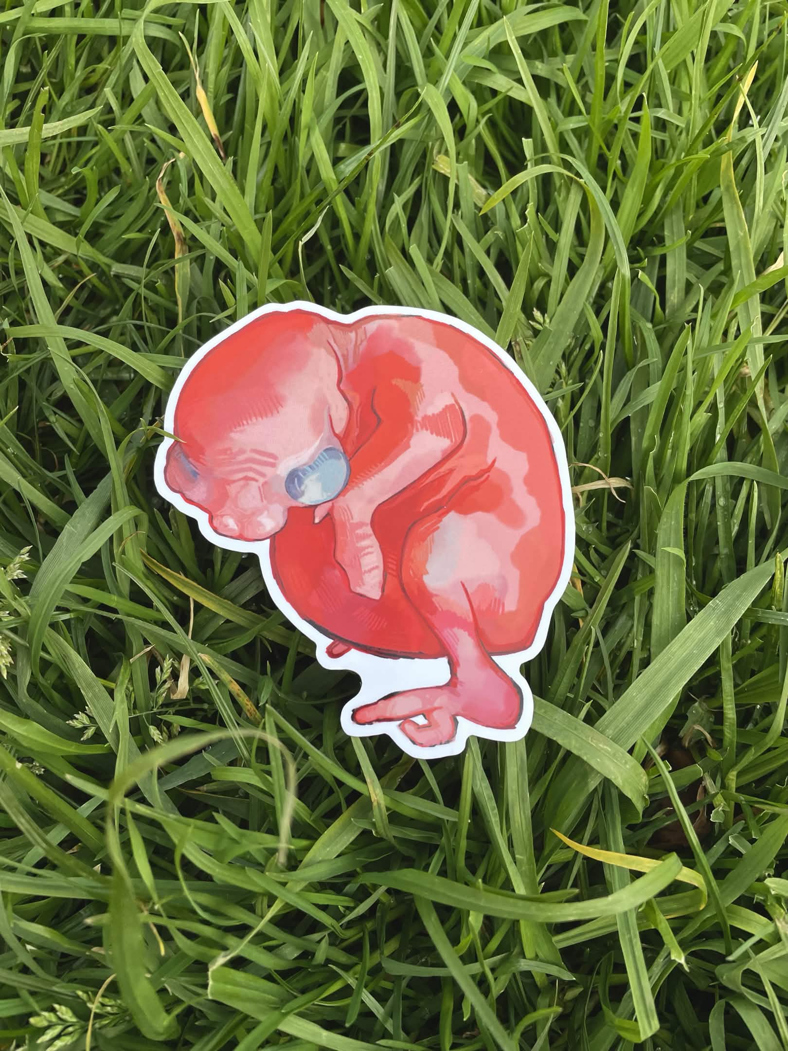 Baby Bird Sticker