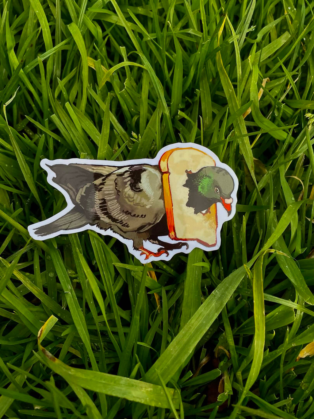 Pigeon Sticker