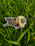 Pigeon Sticker