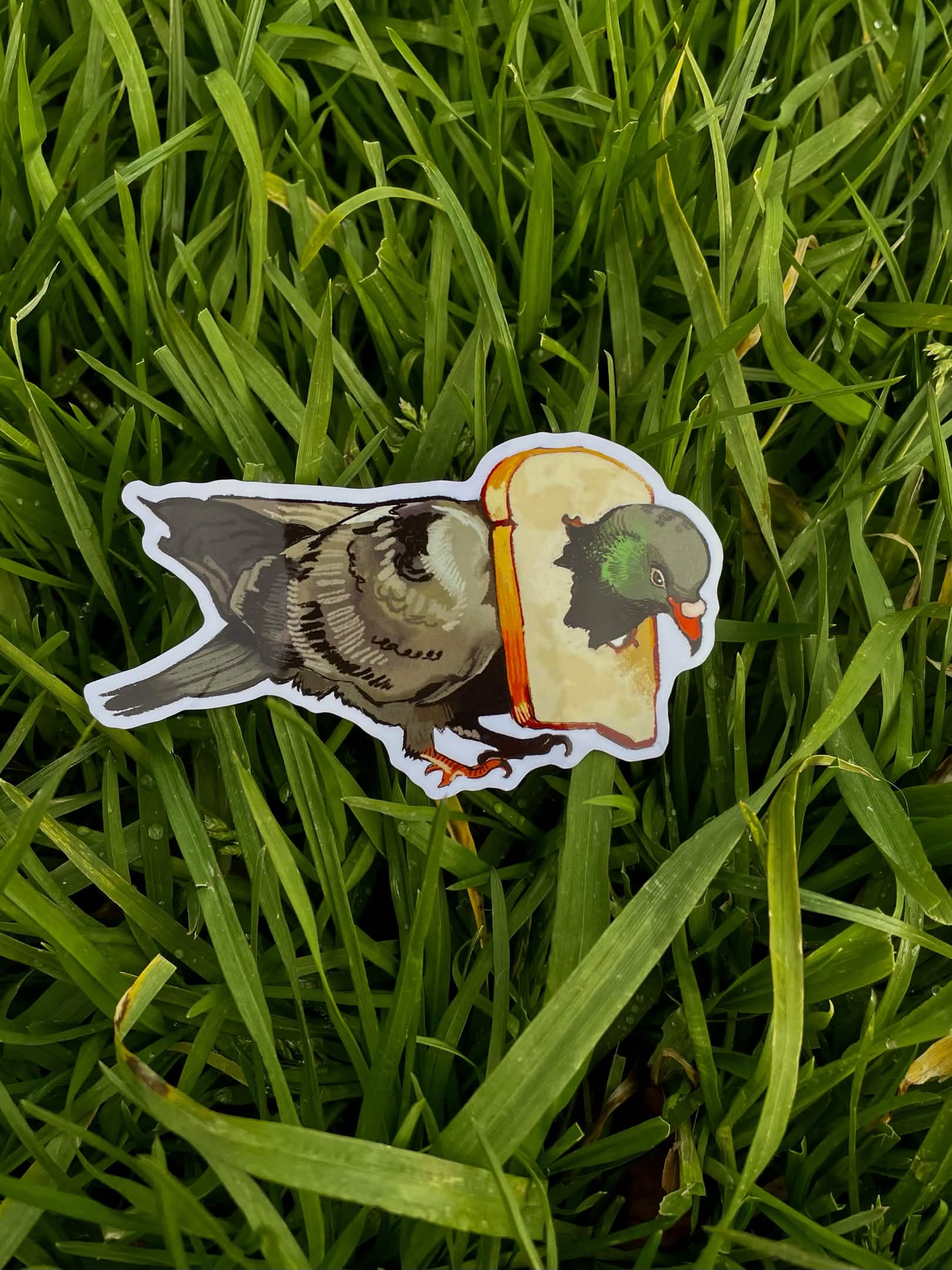 Pigeon Sticker