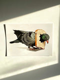 Pigeon Print