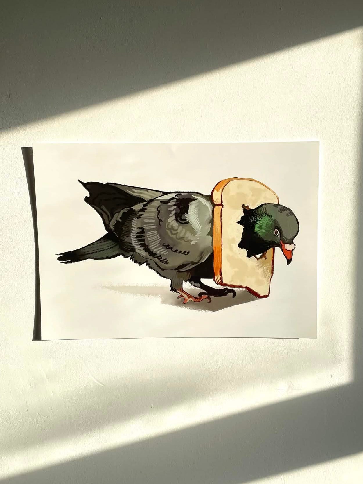 Pigeon Print