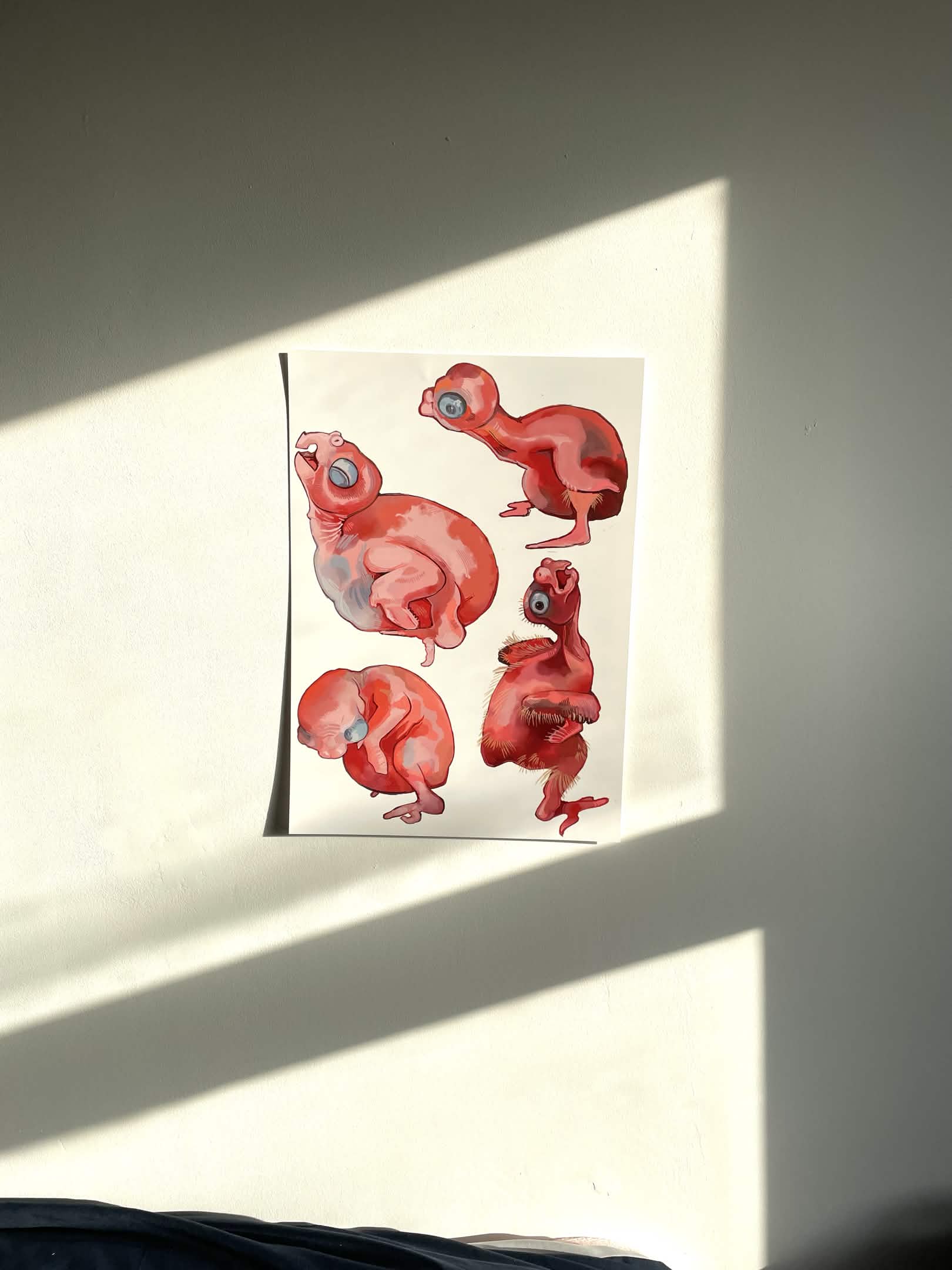 Baby Chicks Prints