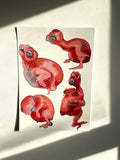 Baby Chicks Prints