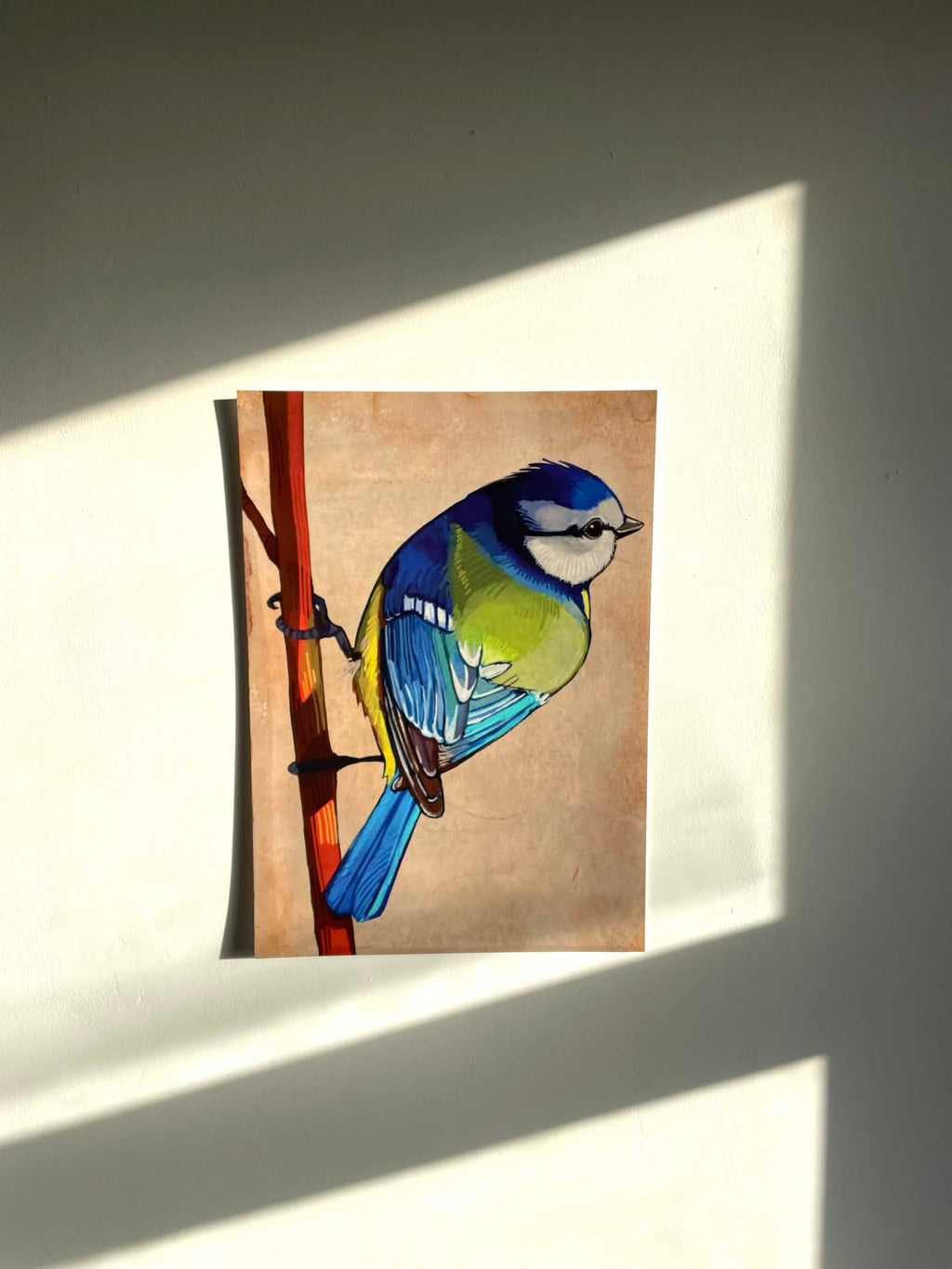 Bluetit Print