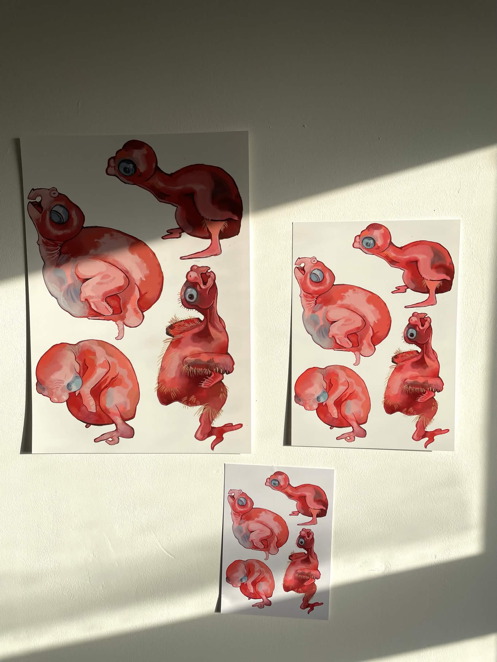 Baby Chicks Prints
