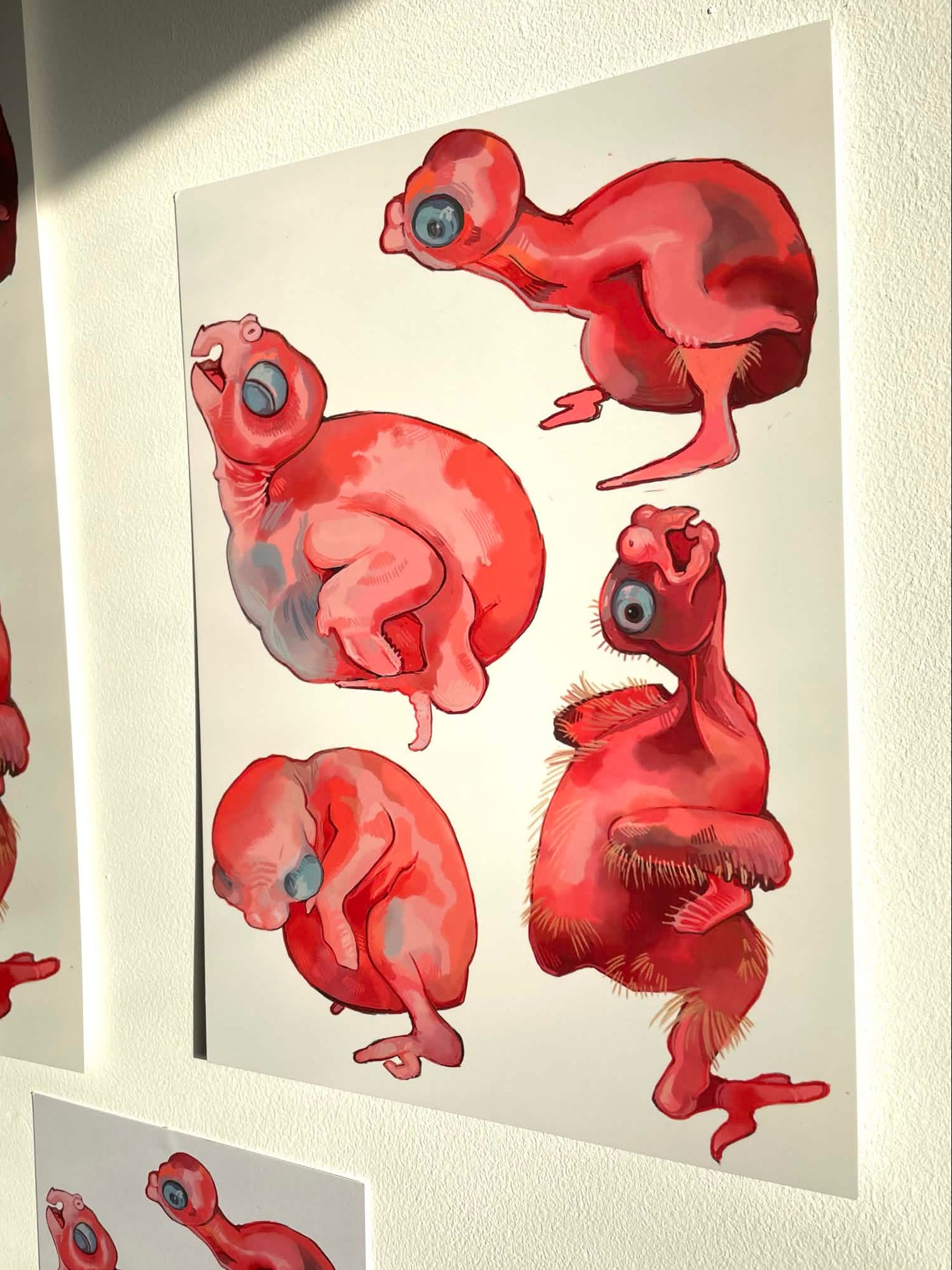 Baby Chicks Prints