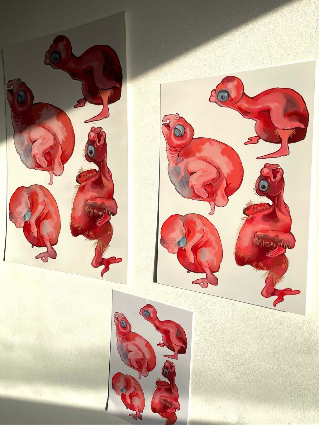 Baby Chicks Prints