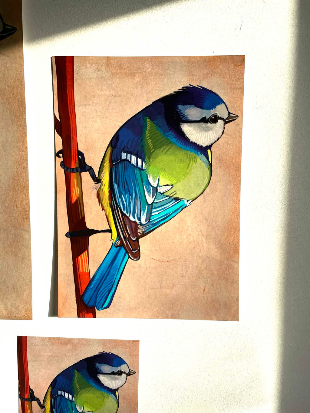 Bluetit Print