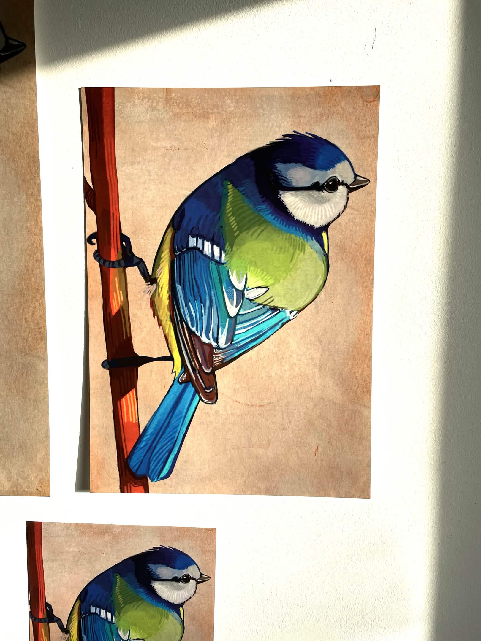 Bluetit Print