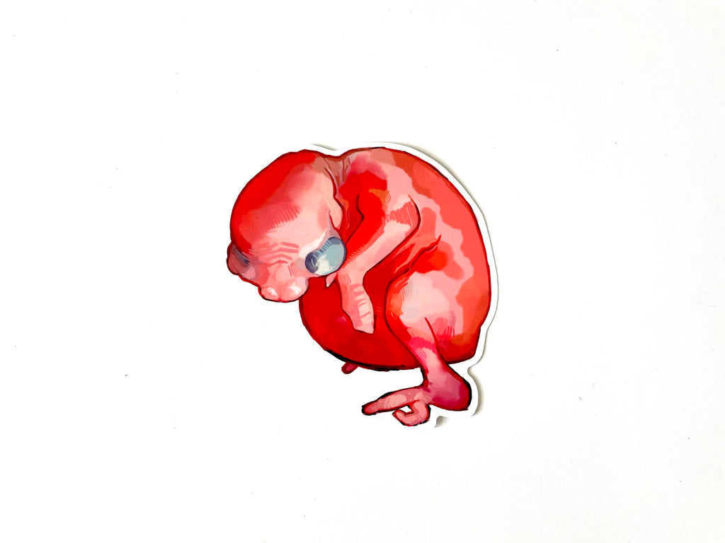 Baby Bird Sticker