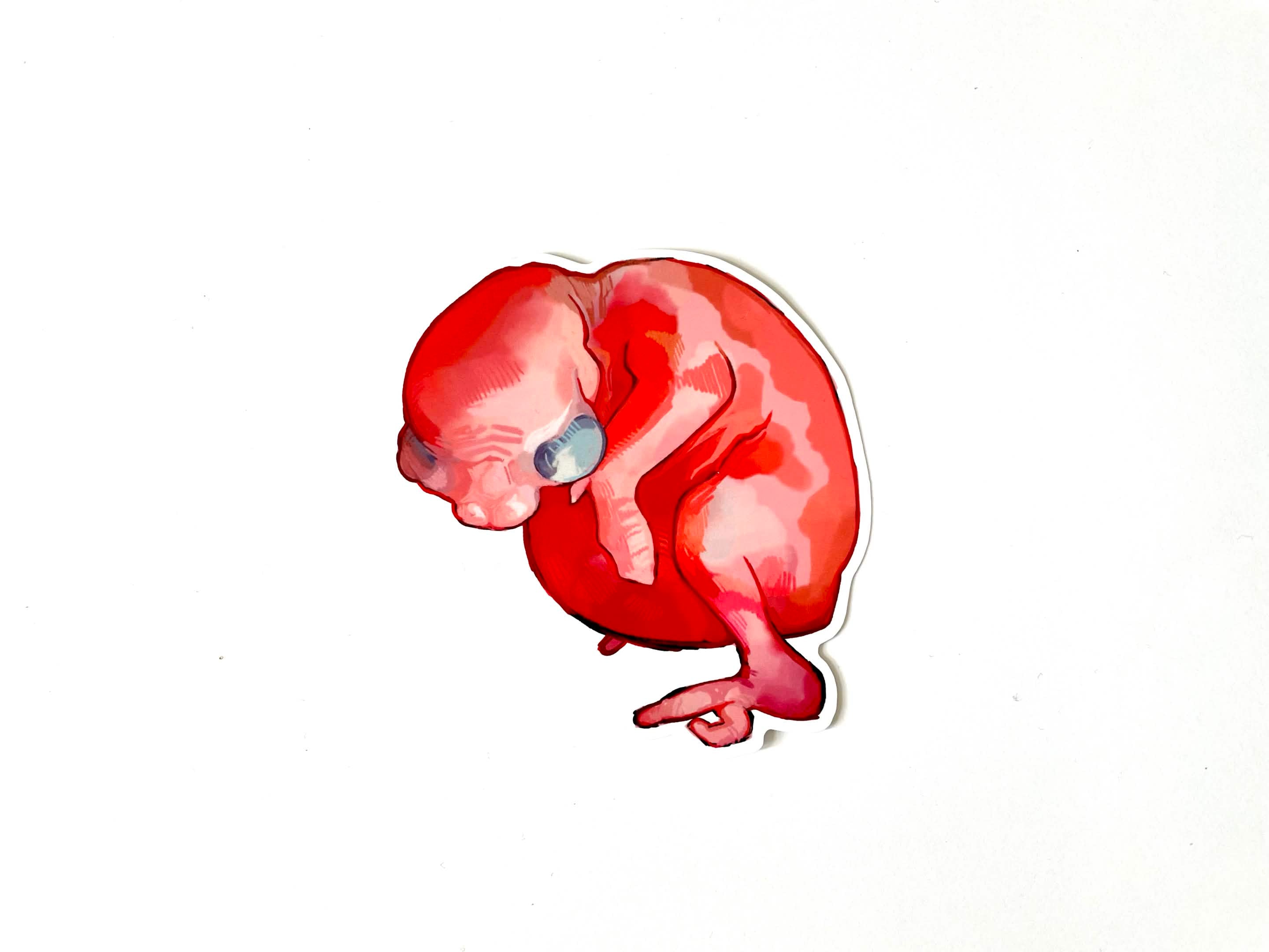Baby Bird Sticker
