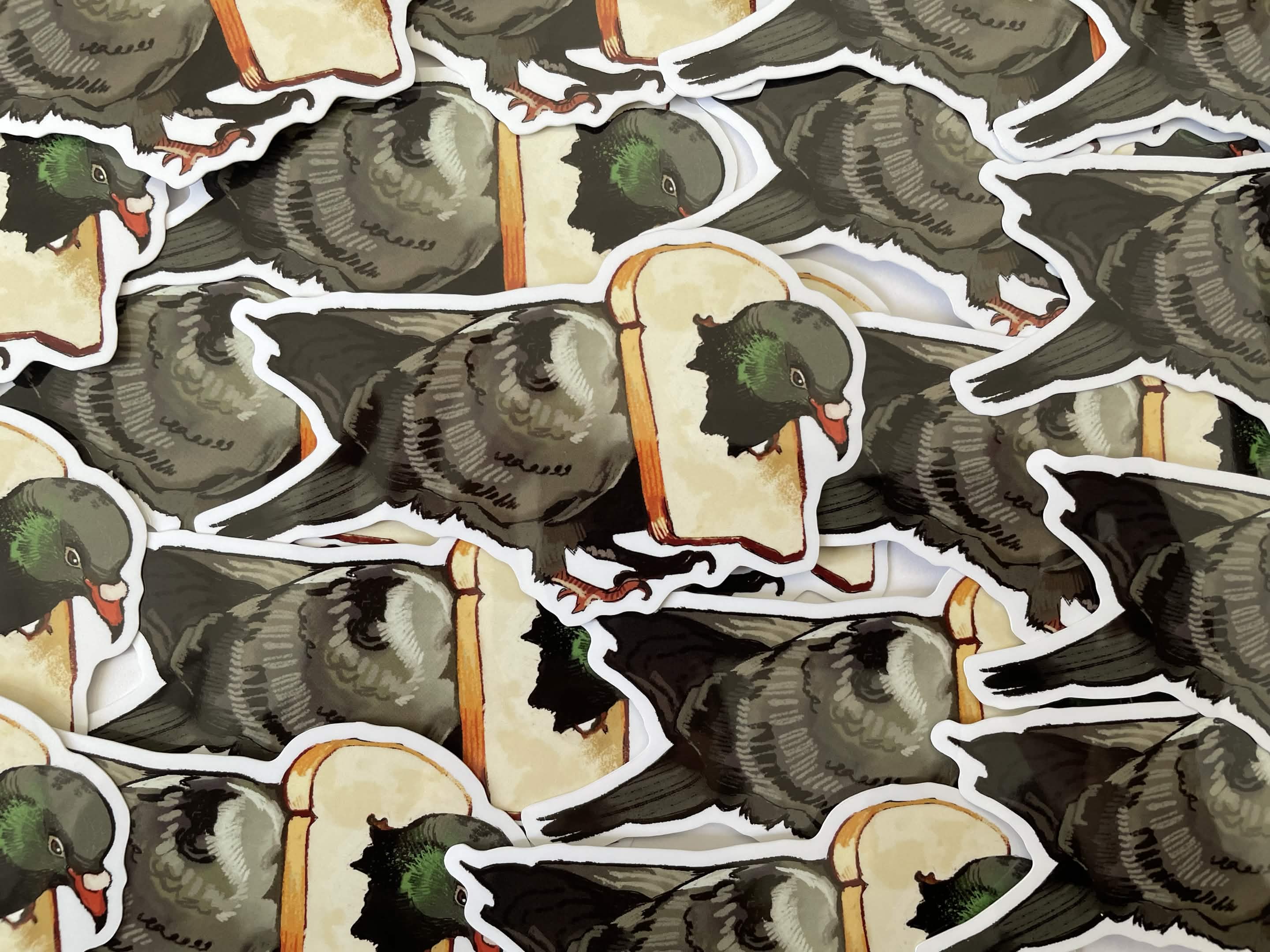 Pigeon Sticker